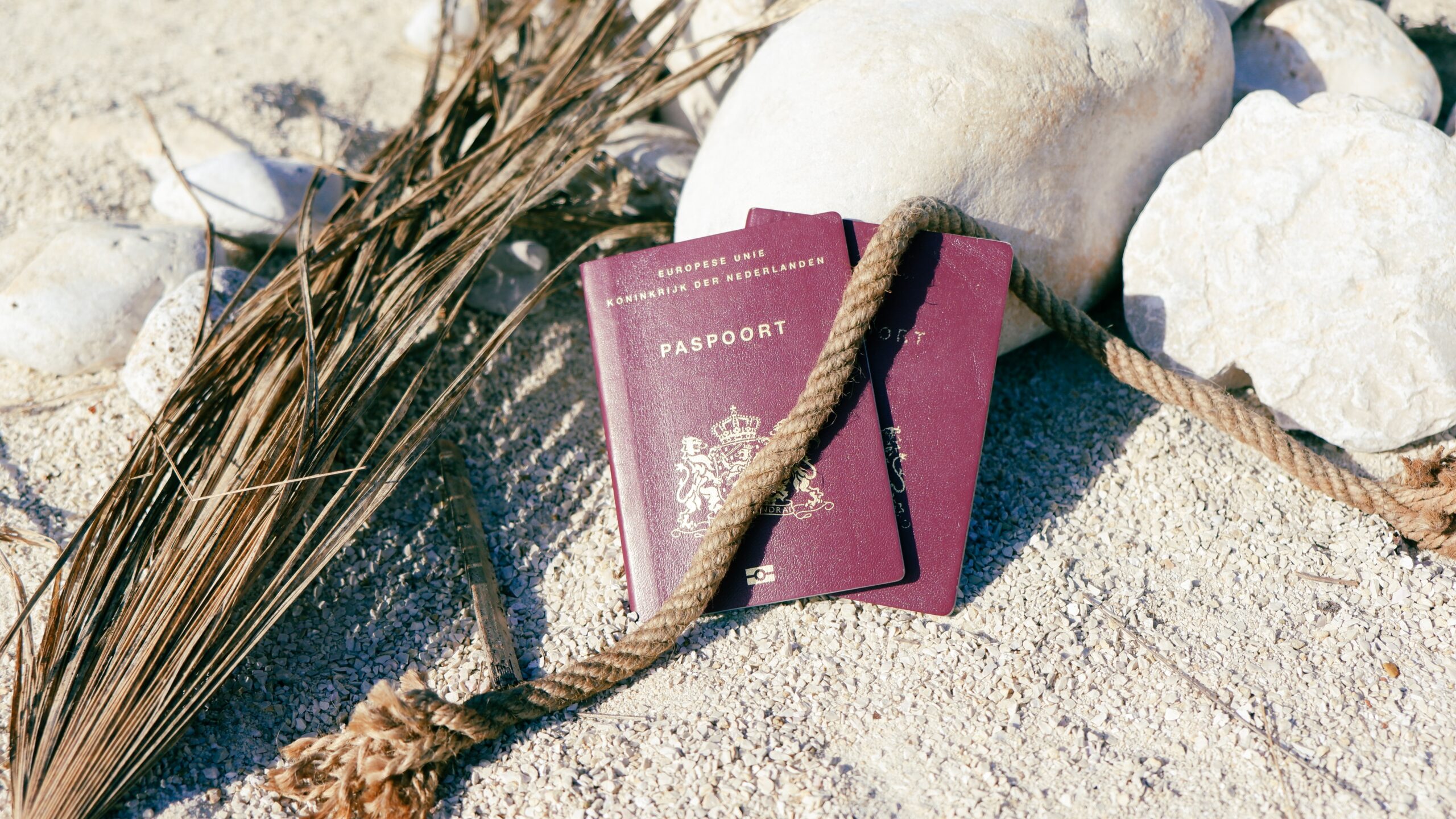 Passports left on the beach